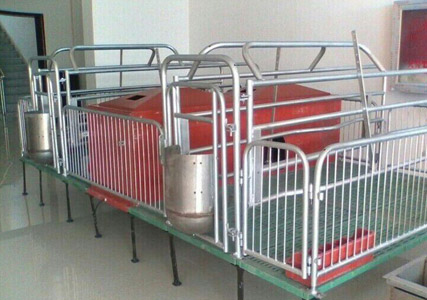 母豬產(chǎn)床 母豬產(chǎn)床