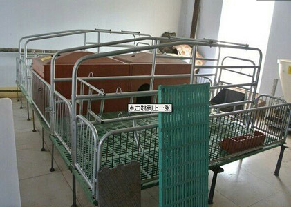 母豬產(chǎn)床 母豬產(chǎn)床