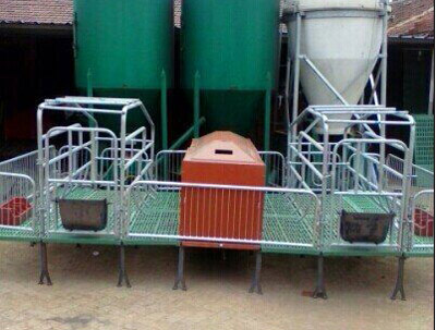 母豬產(chǎn)床 母豬產(chǎn)床